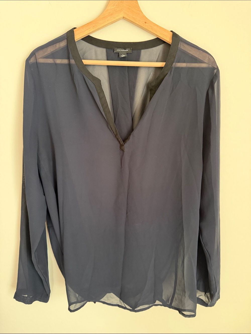Ann Taylor Sheer V-Neck Long Sleeve Blouse